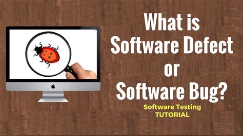 what is a bug in software testing? sometimes bugs can be the key to unlocking new possibilities